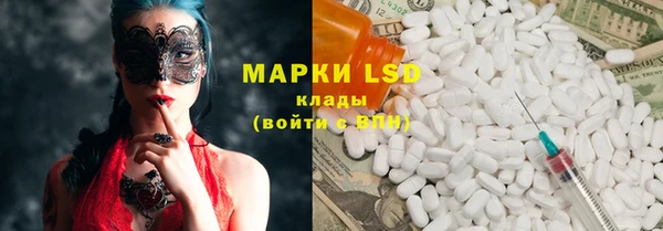 гидропоника Бородино