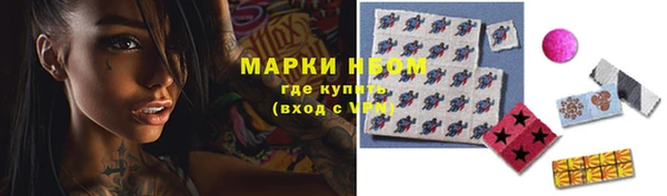 стафф Бронницы