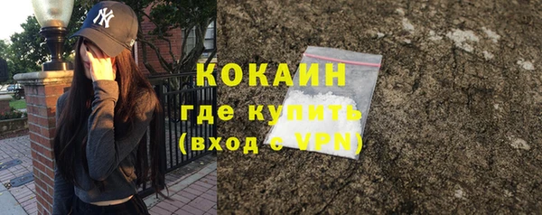 гидропоника Бородино